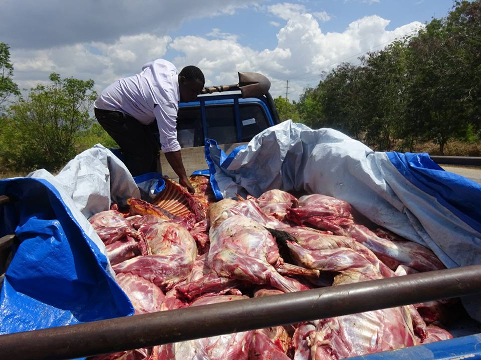 Delivery of meat to primary recipients in the villages of Ruokwe and Mnolea, approximately 50 km south of Lindi.